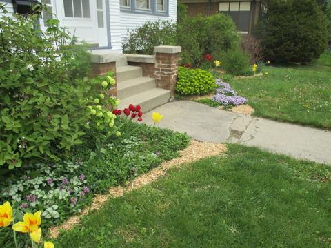 454 Orange St, Elgin, IL 60123 photo 3