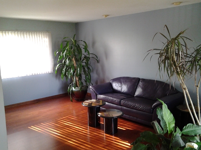 161 Cloverleaf Rd, Matteson, IL 60443 photo 9