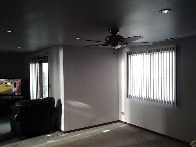 161 Cloverleaf Rd, Matteson, IL 60443 photo 23