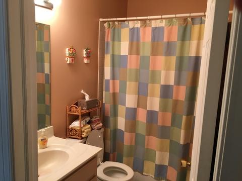 329 N Prospect St, Wheaton, IL 60187 photo 11