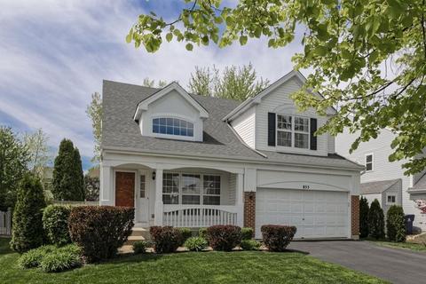 855 Violet Cir, Naperville, IL 60540 photo 1