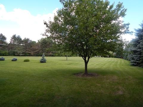 1015 N Curran Rd, Mchenry, IL 60050 photo 24