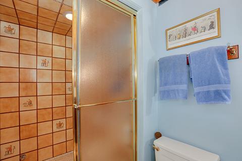9624 Reding Cir, Des Plaines, IL 60016 photo 16