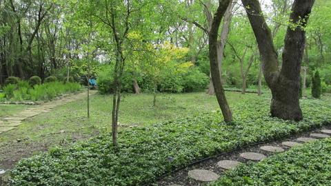 8 Hampton Ct, Algonquin, IL 60102 photo 27