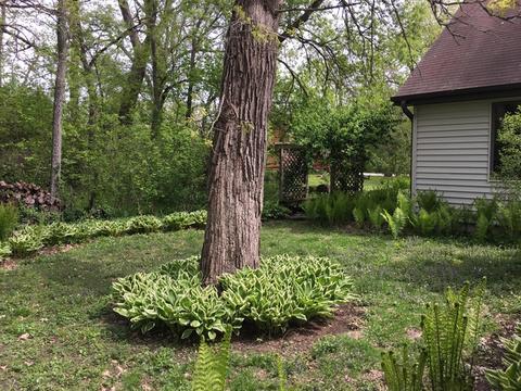 4707 Hickory Way Dr, Johnsburg, IL 60050 photo 27