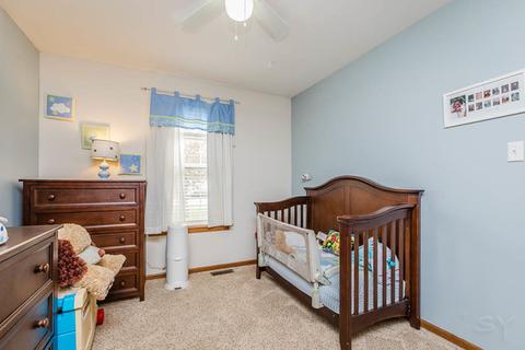 4521 Mallard Ln, Plainfield, IL 60586 photo 25