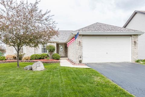 4521 Mallard Ln, Plainfield, IL 60586 photo 1