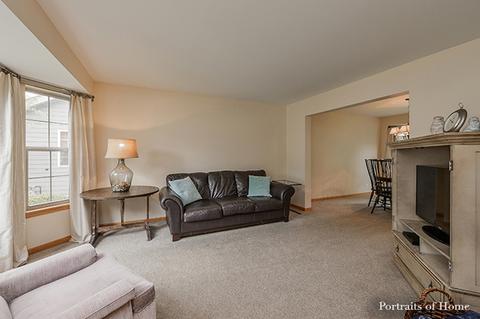 132 Forestview Ln, Aurora, IL 60502 photo 5
