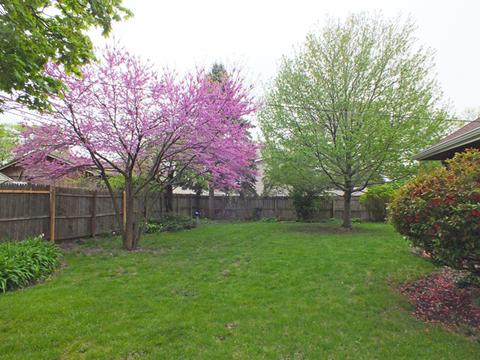 979 E Grant Dr, Des Plaines, IL 60016 photo 23
