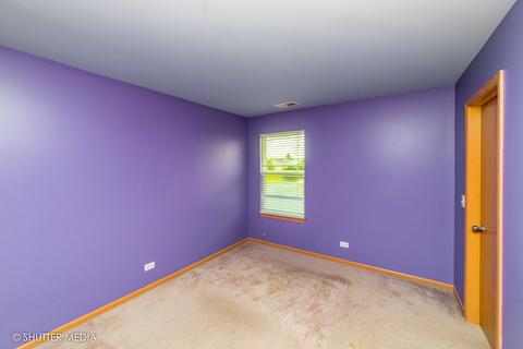 16431 Spring Creek Ln, Plainfield, IL 60544 photo 22