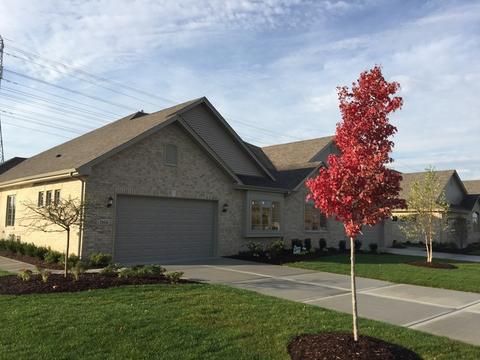 11805 Tower Bridge Dr, Mokena, IL 60448 photo 1