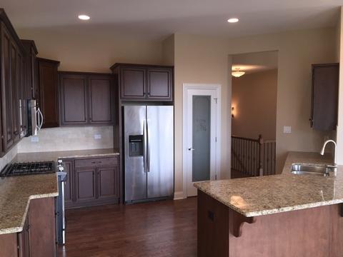11805 Tower Bridge Dr, Mokena, IL 60448 photo 10