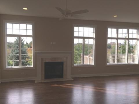 11805 Tower Bridge Dr, Mokena, IL 60448 photo 6