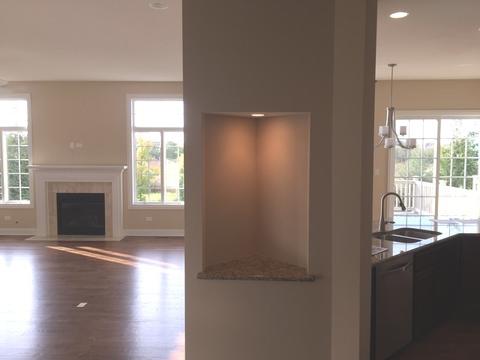 11805 Tower Bridge Dr, Mokena, IL 60448 photo 11