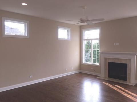 11805 Tower Bridge Dr, Mokena, IL 60448 photo 7