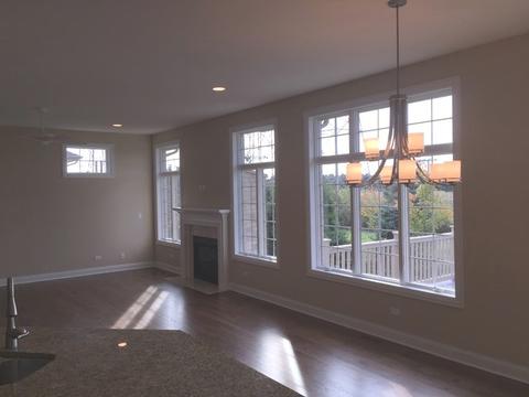 11805 Tower Bridge Dr, Mokena, IL 60448 photo 8