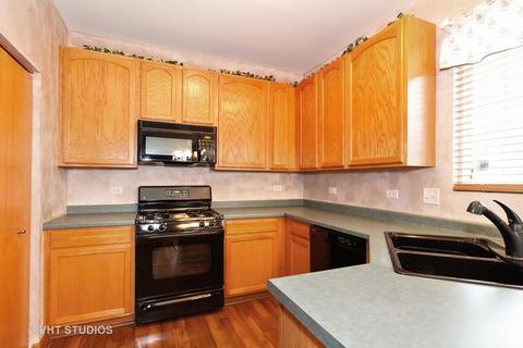 1705 Mountain Ridge Pass, Plainfield, IL 60586 photo 4