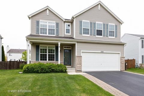 1705 Mountain Ridge Pass, Plainfield, IL 60586 photo 1