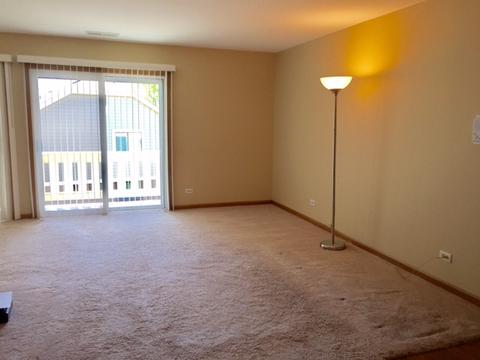 353 Lambert Dr #C2, Schaumburg, IL 60193 photo 3