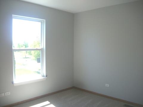2216 Covington Ln, Plainfield, IL 60586 photo 11