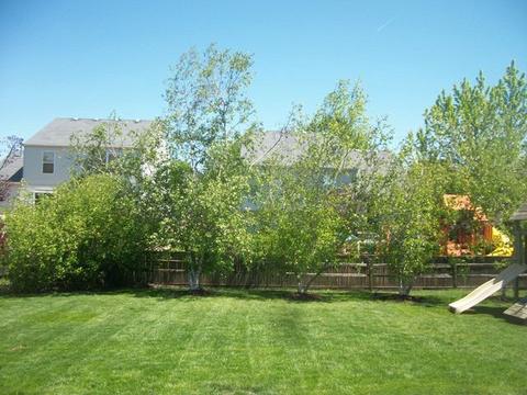2216 Covington Ln, Plainfield, IL 60586 photo 21
