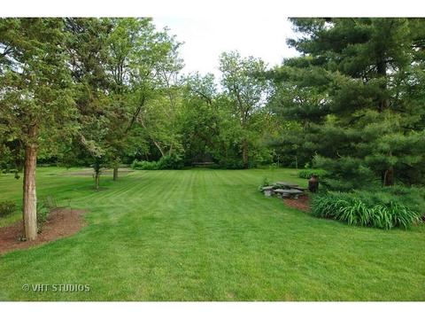 220 E South St, Elmhurst, IL 60126 photo 6