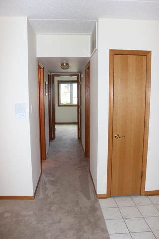 13430 E Circle Dr #507, Crestwood, IL 60445 photo 28