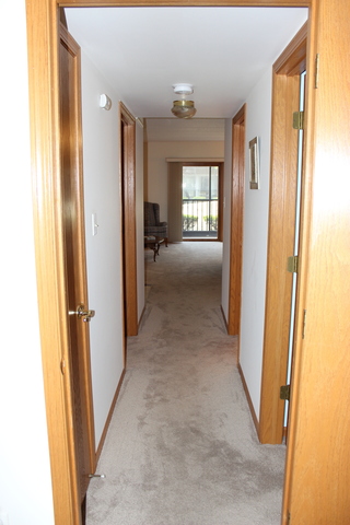 13430 E Circle Dr #507, Crestwood, IL 60445 photo 27
