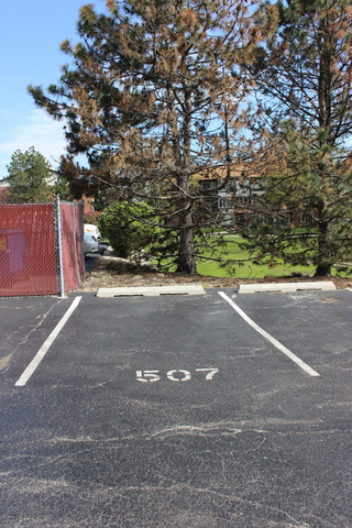 13430 E Circle Dr #507, Crestwood, IL 60445 photo 34