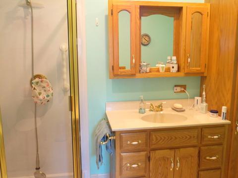 3218 Florence Ave, Steger, IL 60475 photo 14