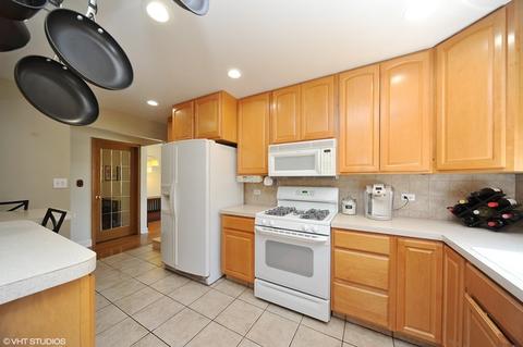 948 S Wolf Rd, Des Plaines, IL 60016 photo 5