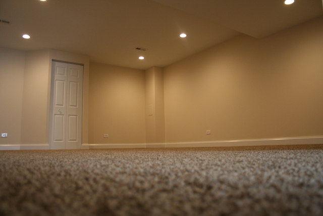 14646 Independence Dr, Plainfield, IL 60544 photo 27