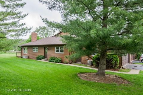 9811 Amanda Ln, Algonquin, IL 60102 photo 1