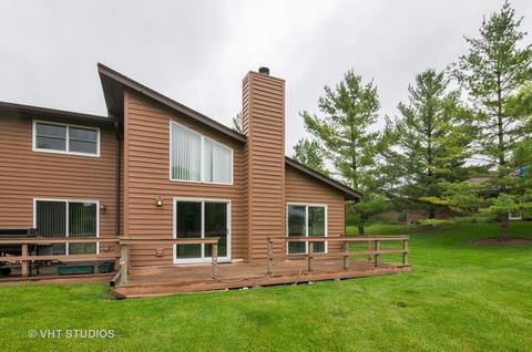 9811 Amanda Ln, Algonquin, IL 60102 photo 9