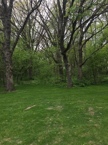 2919 Pagles Rd, Harvard, IL 60033 photo 15