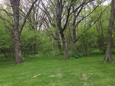 2919 Pagles Rd, Harvard, IL 60033 photo 12