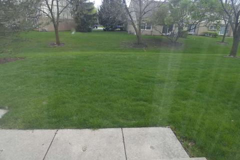 1491 Diamond Dr, Hoffman Estates, IL 60192 photo 15