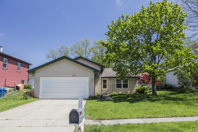 1119 Washington St, Bartlett, IL 60103 photo 1