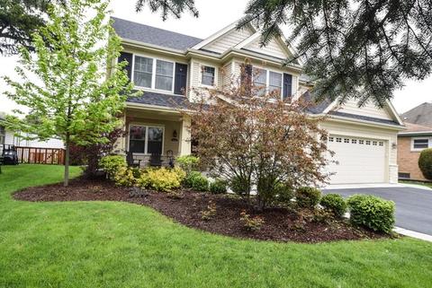 433 S Cherry St, Itasca, IL 60143 photo 25