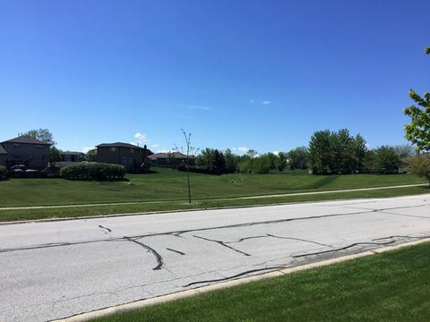 9200 Birch Ave, Mokena, IL 60448 photo 27