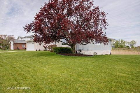 9200 Birch Ave, Mokena, IL 60448 photo 18