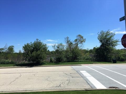 9200 Birch Ave, Mokena, IL 60448 photo 24