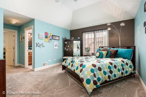 4535 Corktree Rd, Naperville, IL 60564 photo 23
