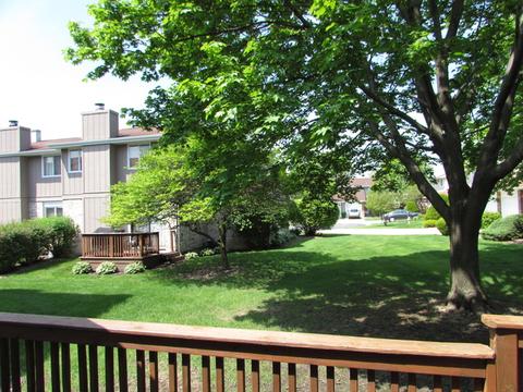 1628 Dundee Dr, Wheaton, IL 60189 photo 20