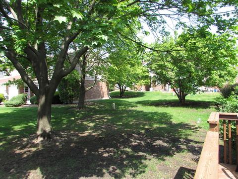 1628 Dundee Dr, Wheaton, IL 60189 photo 19