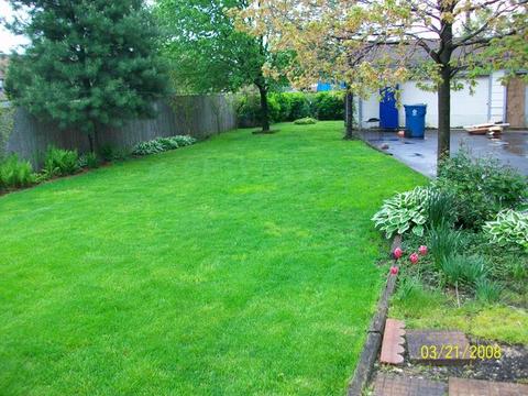 7905 W 70th St, Bridgeview, IL 60455 photo 19