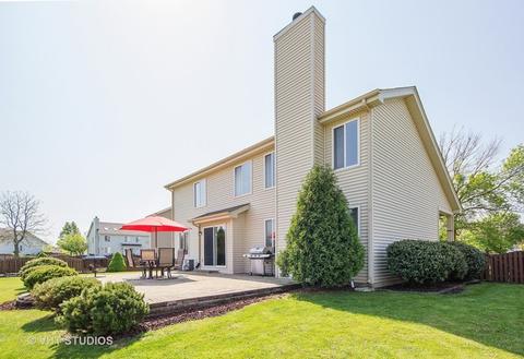 14119 Buckner Ct, Plainfield, IL 60544 photo 19