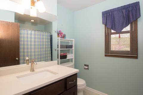 231 Jervey Ln, Bartlett, IL 60103 photo 22