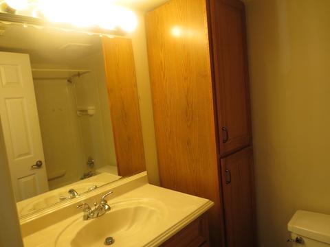 104 Daniel Ct #A, Bartlett, IL 60103 photo 9