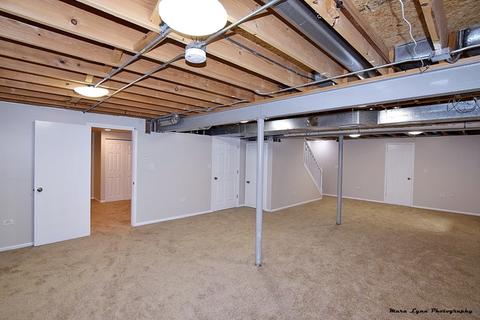 472 Snow Drift Cir, Bartlett, IL 60103 photo 38